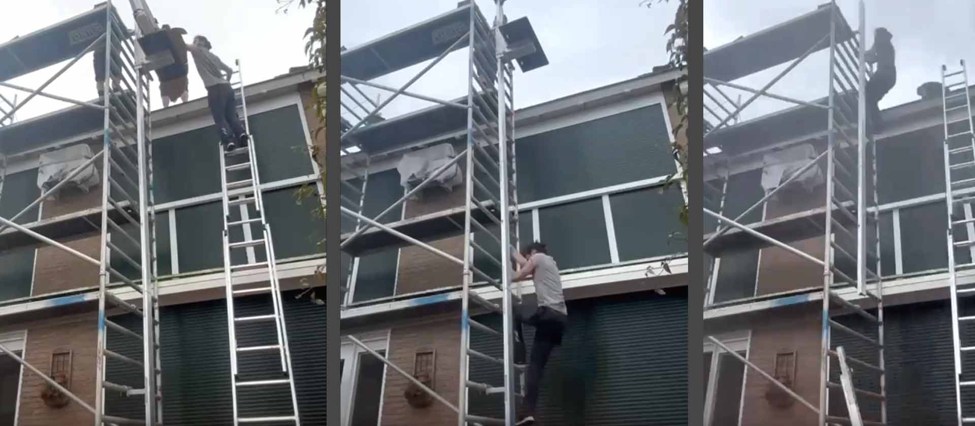 Fits on mobile and fixed scaffolding ... and even on ladders with our ladder-set